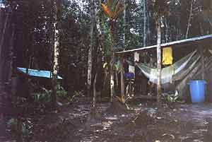 Our camp in the jungle near Angels Fall