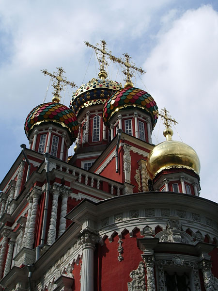 IMGP1681.jpg