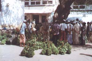 Lamu Market Place