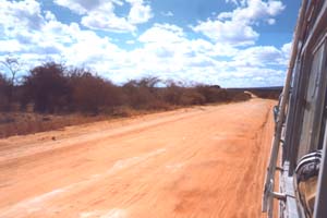 Serengeti Plains