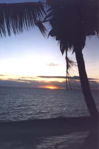 Palm trees - Sunset - Ahhh