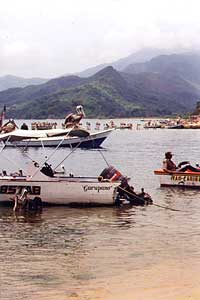 Are they pelicans sitting on that boat?
