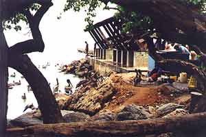 Rio Caribe fish market. Would they be pelicans there?