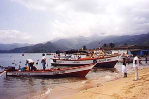 Fishing boats unloading in Santa Fe